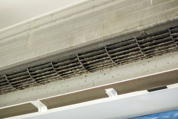 Best Professional Duct Cleaning Services  in Portland, TX